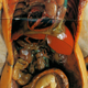 Illustration for article titled Wax anatomical figures are the stuff of nightmares